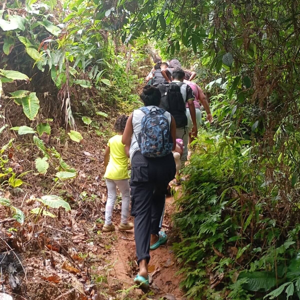 Ejército avanza hacia la zona de conflicto en Valdivia, pero los campos minados retrasan esa llegada