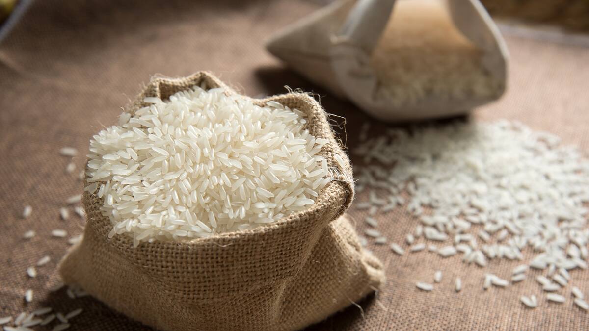 Arroz debe estabilizar su precio en febrero: Rafael Hernández, gerente de Fedearroz