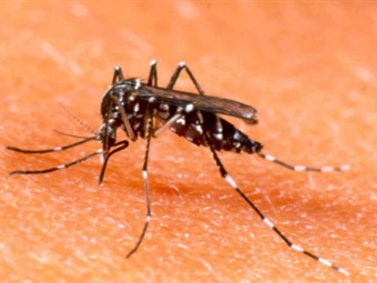 En menos de 24 horas han muerto dos menores de edad por dengue en Cartagena