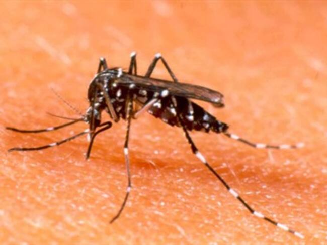 En menos de 24 horas han muerto dos menores de edad por dengue en Cartagena