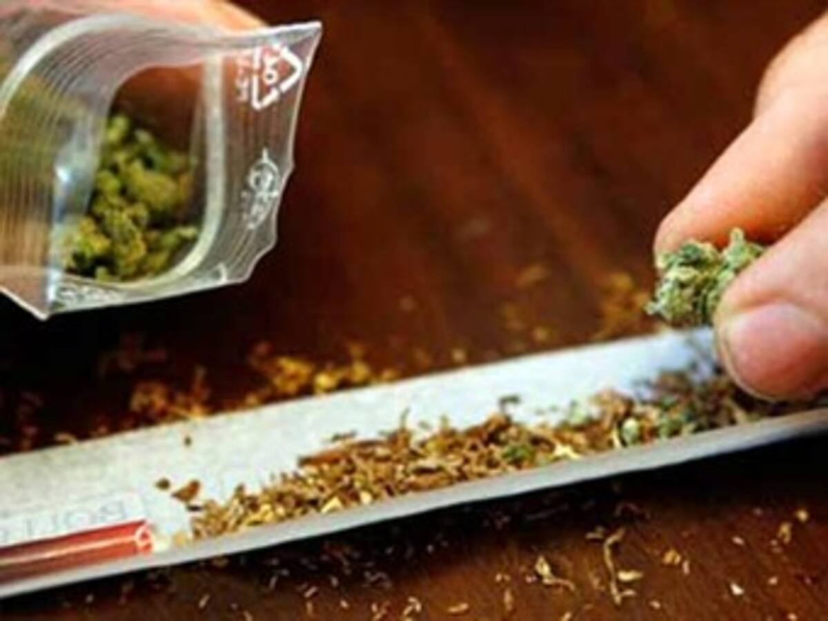 Colombia es el país andino en donde los universitarios consumen más marihuana