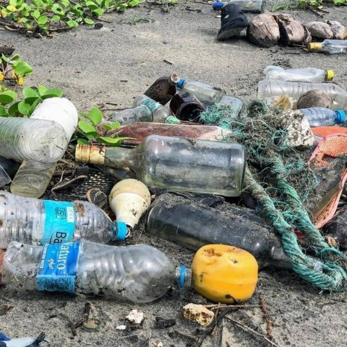 En Neiva intensifican esfuerzos, para evitar casos de dengue en temporada de San Pedro