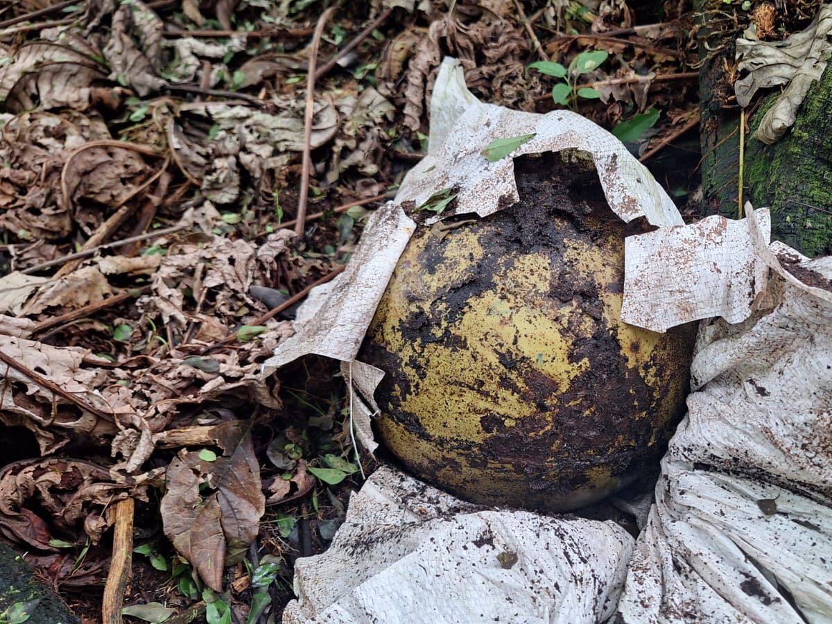 Tropas del Ejército neutralizaron explosivos en zona selvática del Vaupés