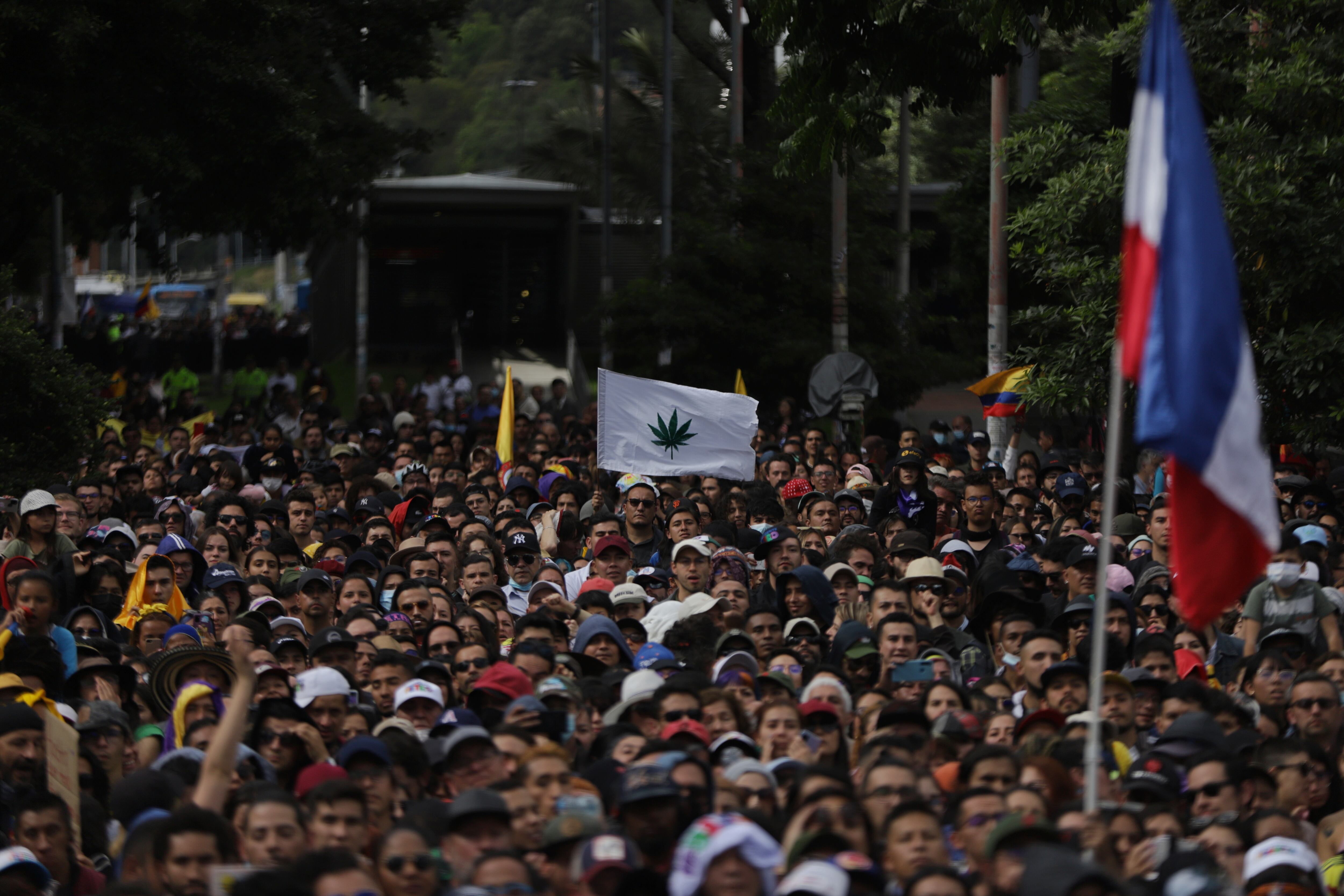 Cámara aprueba proyecto para regular el consumo de cannabis en Colombia (Colprensa)