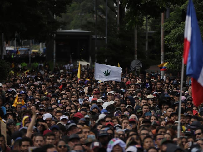 Cámara aprueba proyecto para regular el consumo de cannabis en Colombia (Colprensa)