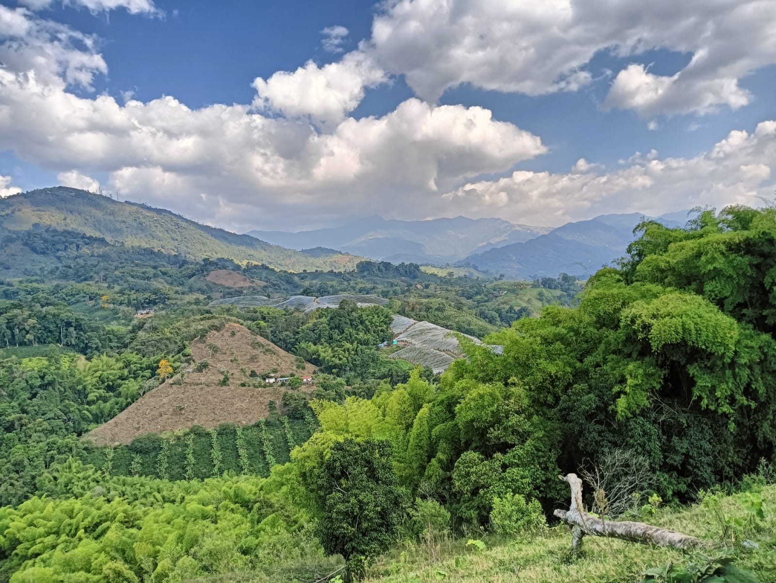 Hermoso paisaje del Quindío, desde la avenida Centenario de Armenia. Foto: Adrián Trejos