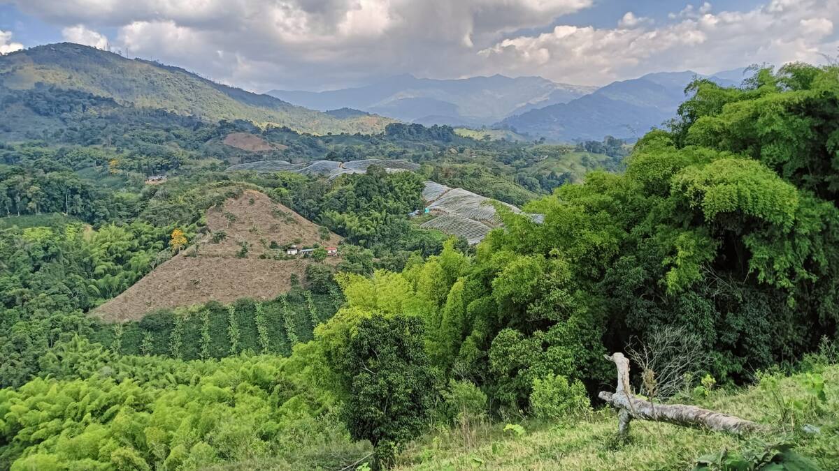 Lunes 2 de septiembre, las noticias más importantes de Armenia y Quindío