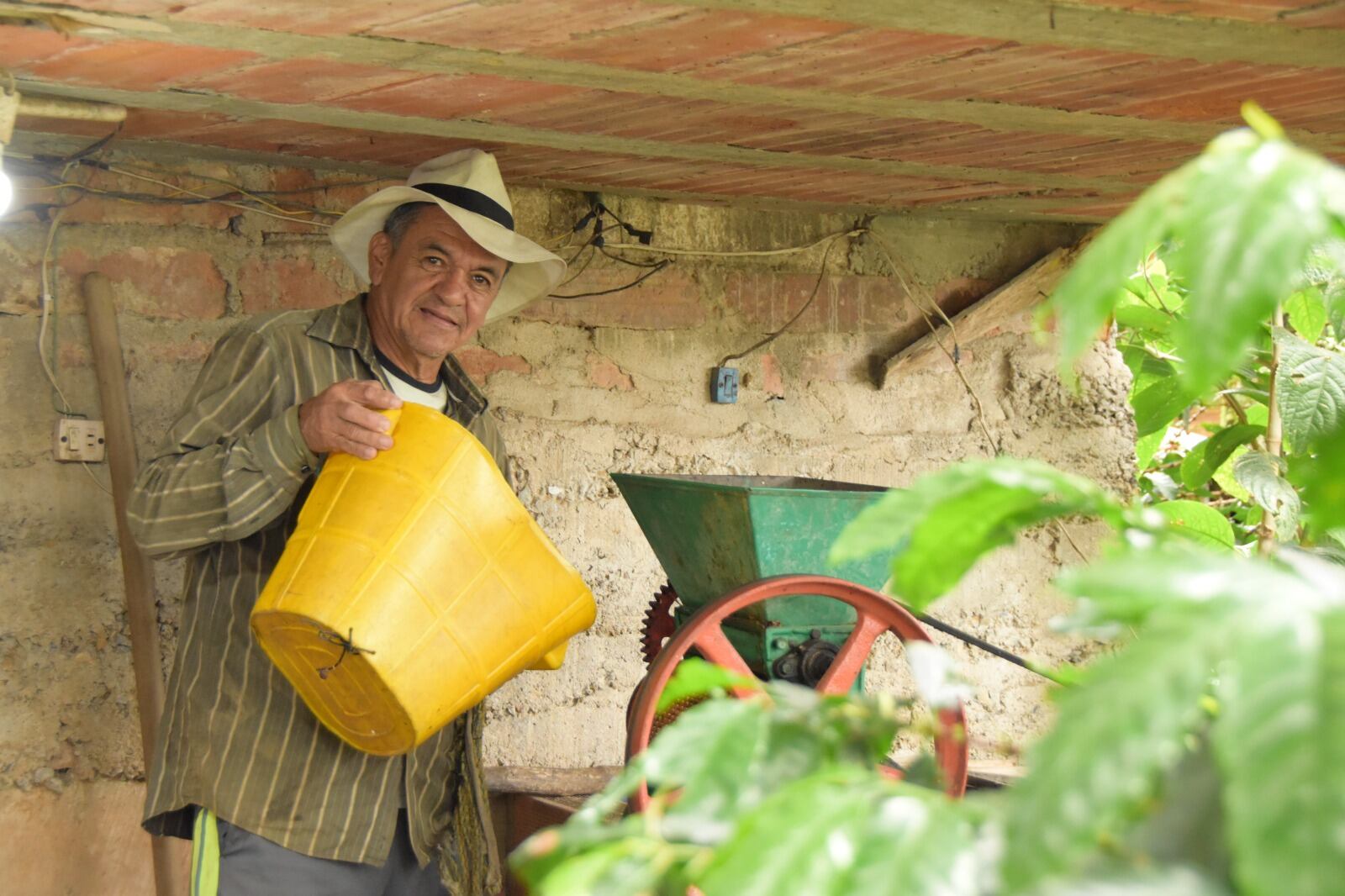Nueva línea de crédito dirigida a los productores agropecuarios de Medellín. Foto: alcaldía.