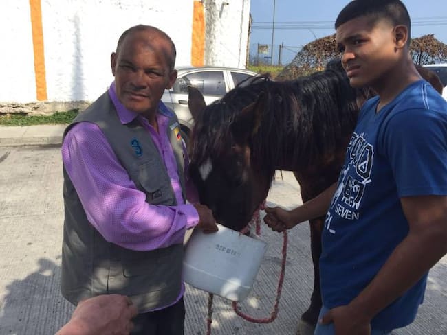 Activan Brigada de Primeros Auxilios para caballos cocheros en Cartagena