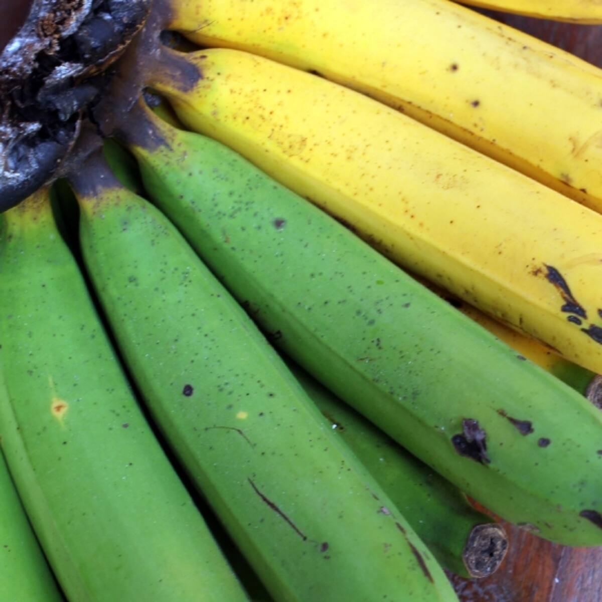 Es más sano: ¿el banano verde o el maduro? Este tiene menos azúcar y mejora la digestión