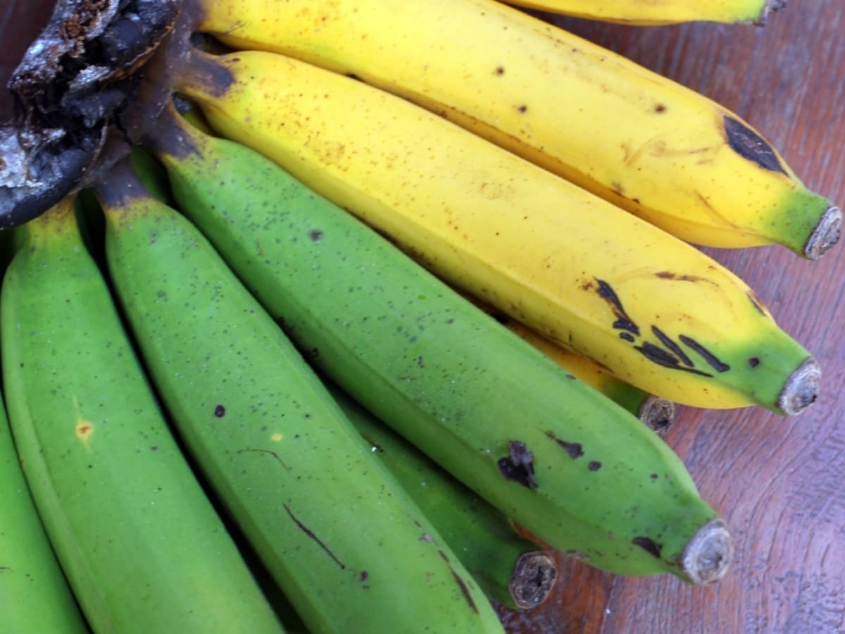 Es más sano: ¿el banano verde o el maduro? Este tiene menos azúcar y mejora la digestión