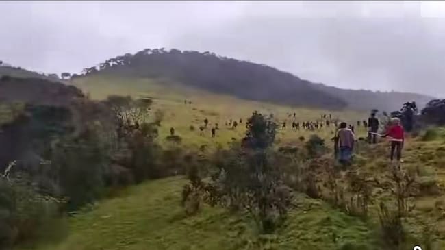 Las disputas se desarrollaron en zona rural del municipio de Silvia, Cauca. Crédito: Suministrada.