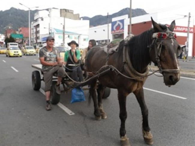 Más de 600 carreteros no han entregado sus caballos en Bogotá