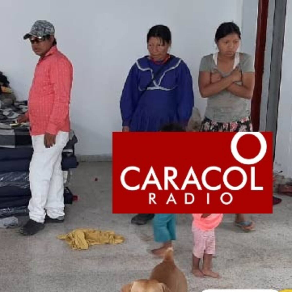 Fallo en primera instancia ordena entregar vivienda digna a 40 familias indígenas en Armenia