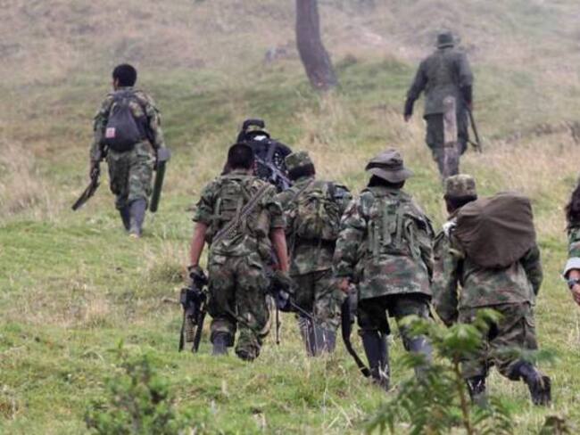 Guerrilleros rasos harían parte de los esquemas de seguridad de los jefes de las Farc