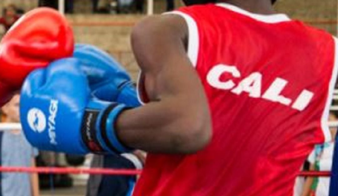 Imagen de referencia