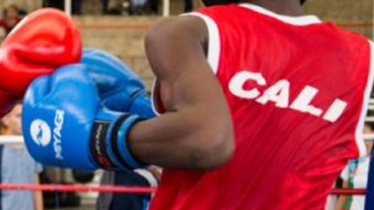Deportistas revelan cómo eran acosadas sexualmente en la Liga de Boxeo