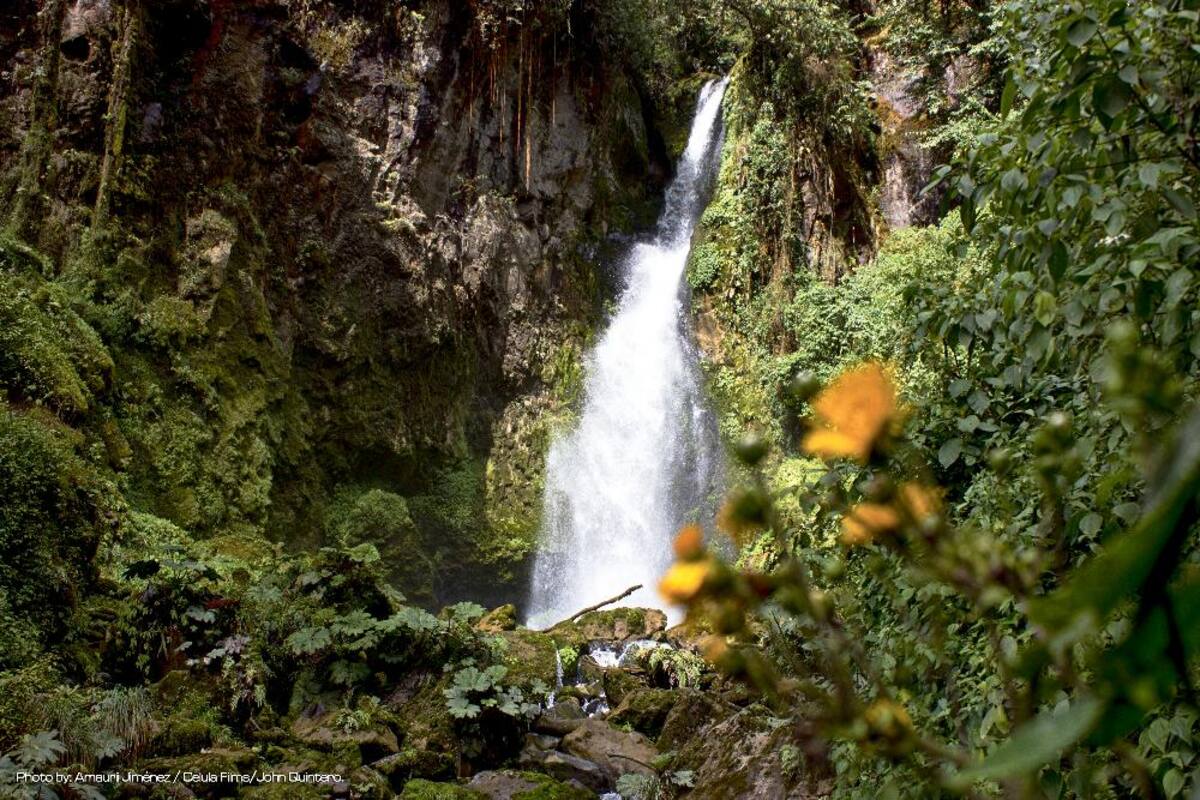 En estas piscinas termales, ubicadas en Santa Rosa de Cabal, se sentirá el placer del calor y las sales naturales; más que entretenimiento proporciona salud y bienestar.