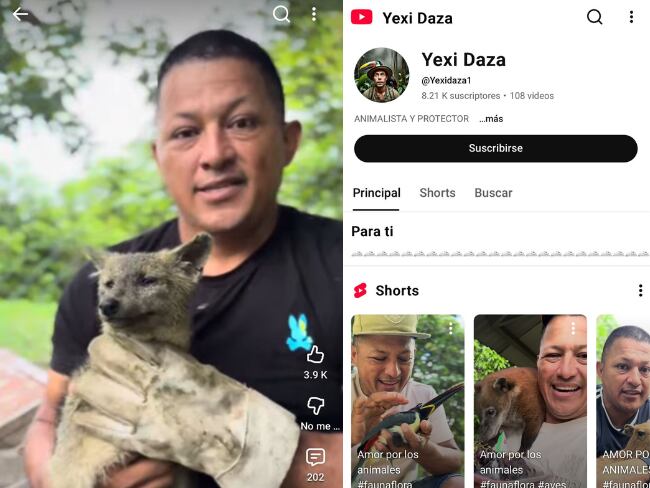 Capturan en Putumayo a creador de contenido investigado por presunto tráfico de fauna silvestre
