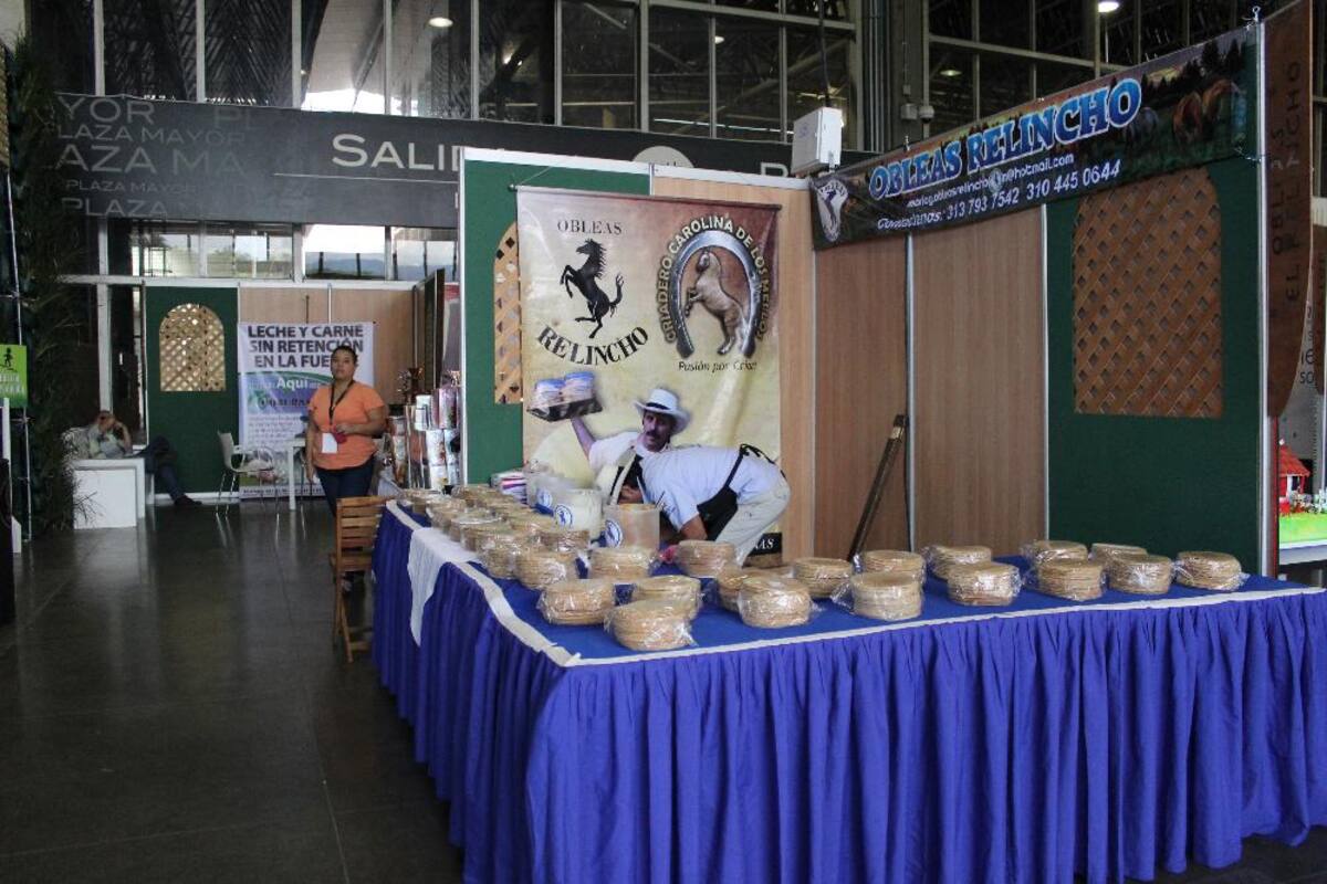Así va la puesta en marcha de Expocolanta 2014