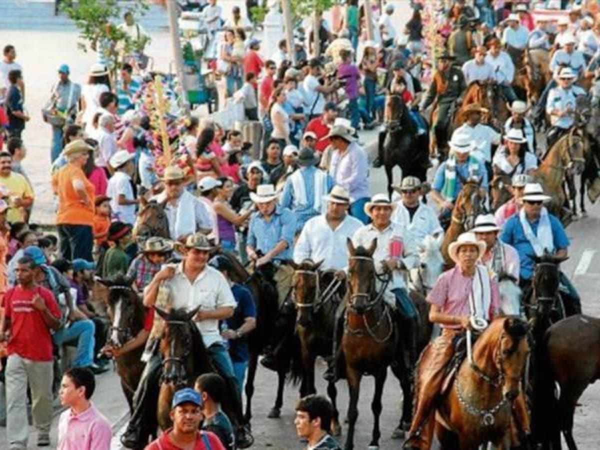 La otra cara del desfile equino en Dosquebradas: riñas y un animal en peligro