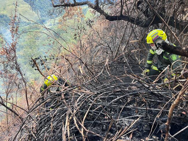 Incendios forestales consumieron 68 hectáreas en Santander