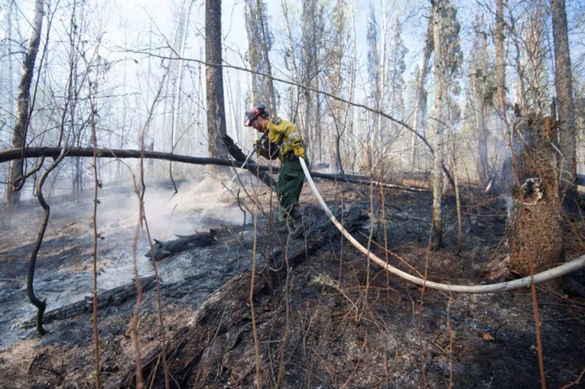 La noticia del próximo matrimonio se dio a conocer a través del Instagram de Carolina Castaño.