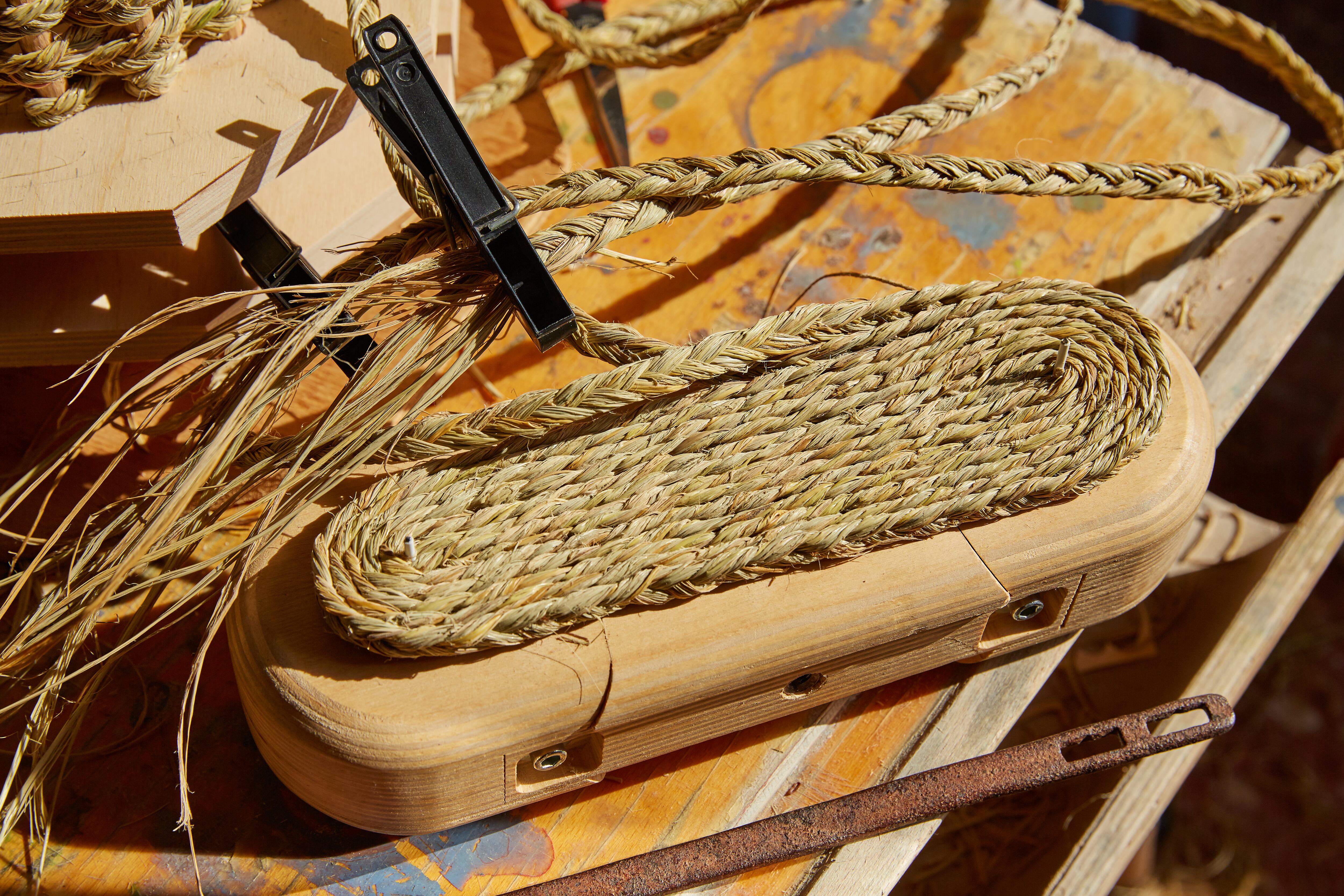 Esparto halfah grass used for crafts as cords basketry and espadrilles