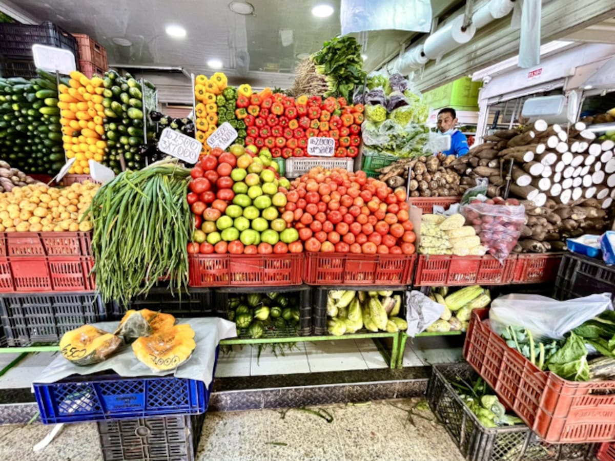 ¿Qué estrato es Paloquemao en Bogotá? Famosa plaza de Mercado: vende frutas, verduras, flores y más
