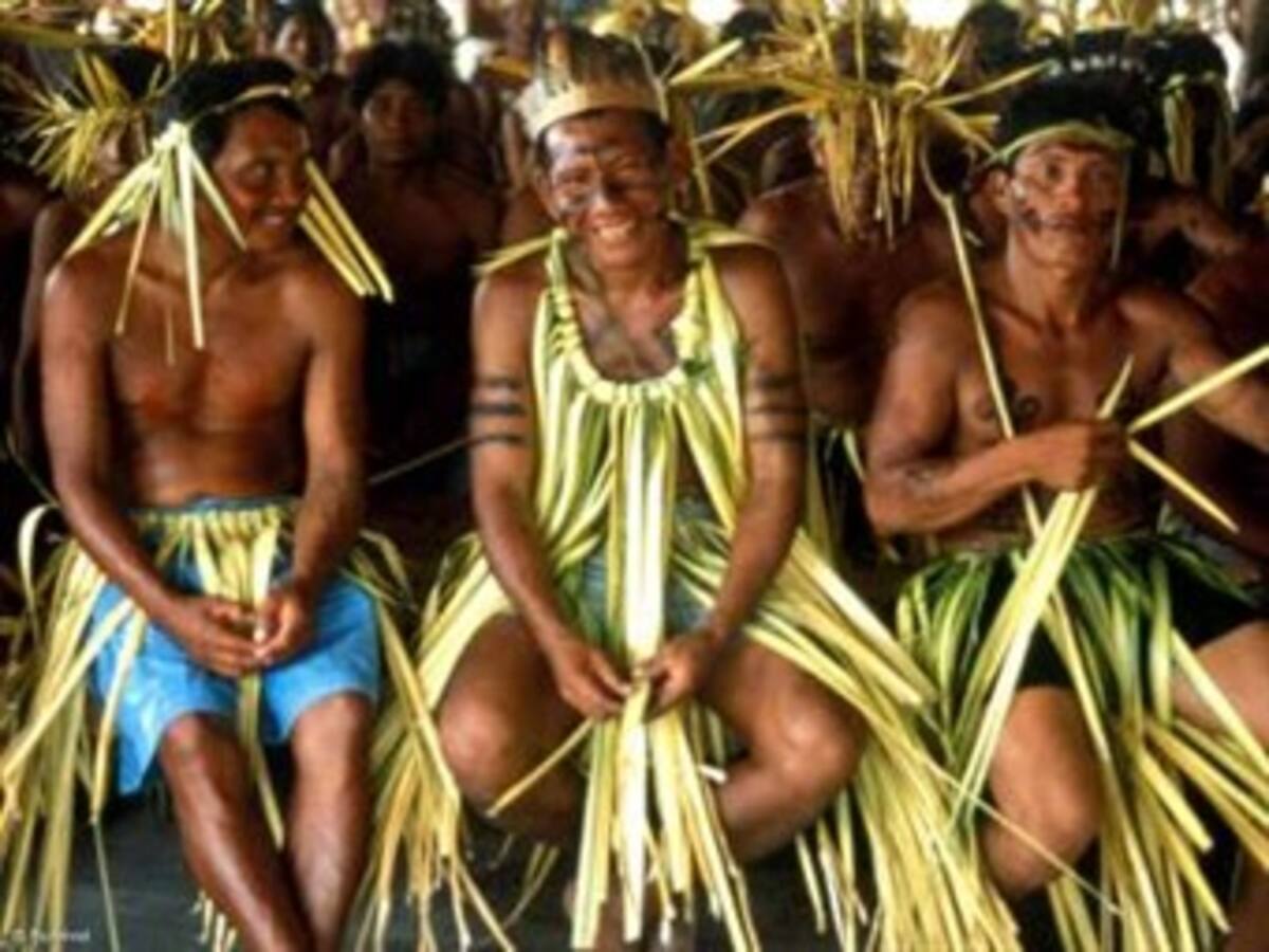 Conflictos por la tierra causaron muerte de 60 indios brasileños en 2009