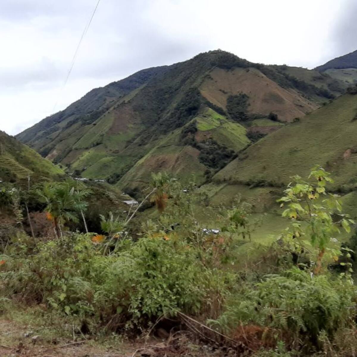 Ituango: el Clan del Golfo dejó un explosivo en una casa que tuvo que ser abandonada