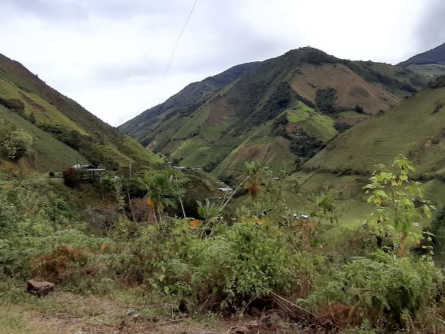 Seis familias abandonaron la vereda Conguital en Ituango