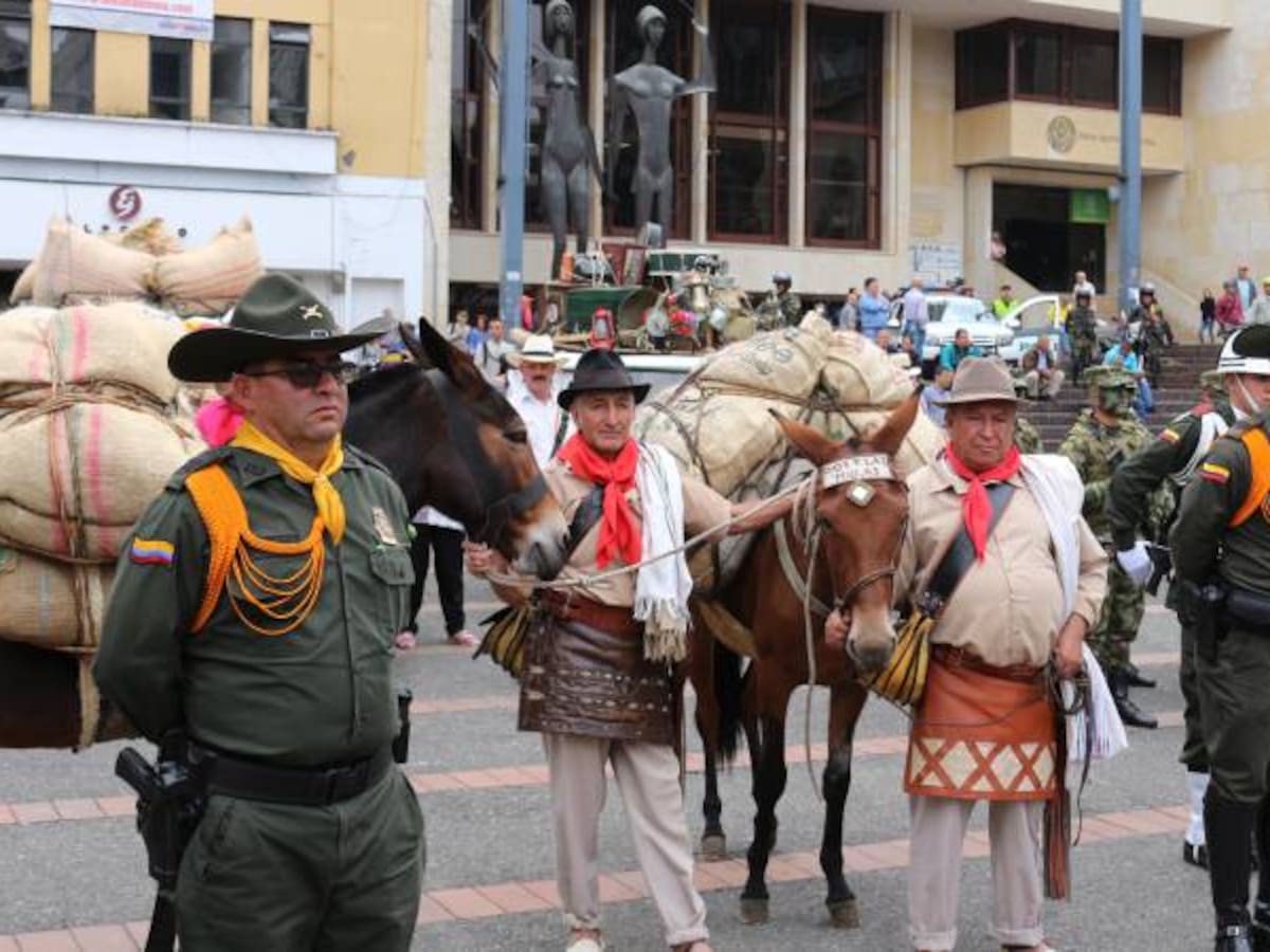 El "Plan Cosecha" ya está en marcha en Caldas