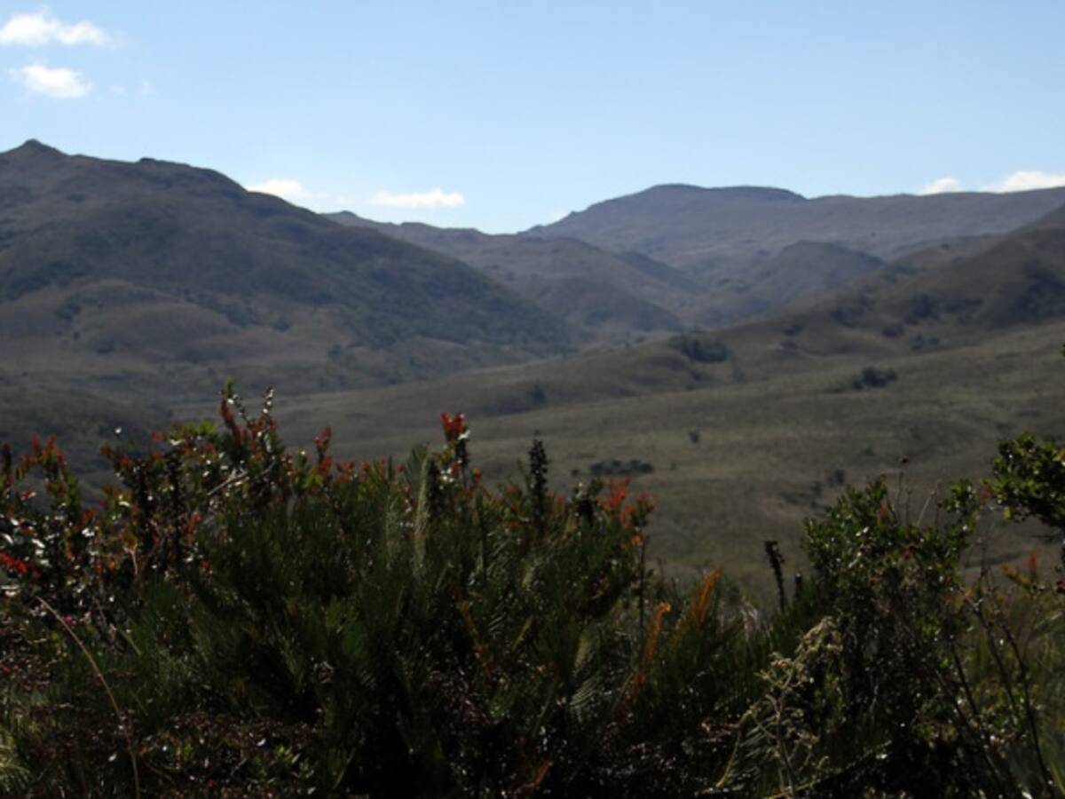 La Corte rechazó recurso de aclaración a decisión que limitó explotación minera en los páramos