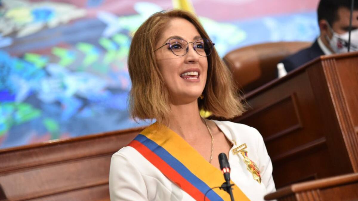 "No he cometido plagio alguno", insiste Arias ante acusación de Externado
