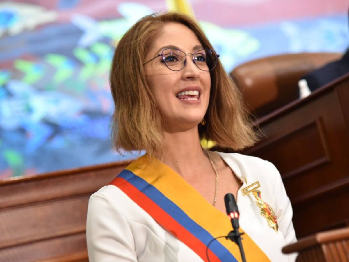 "No he cometido plagio alguno", insiste Arias ante acusación de Externado