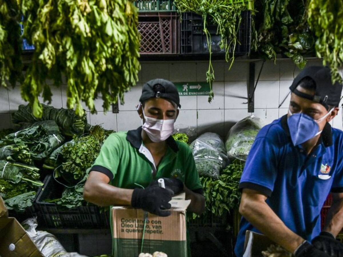 Las lluvias generan buen abastecimiento de hortalizas