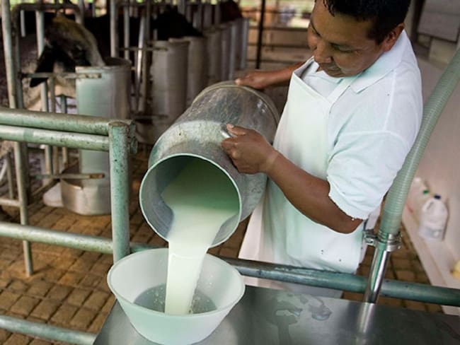 Sector lácteo en Norte de Santander en alerta por reforma