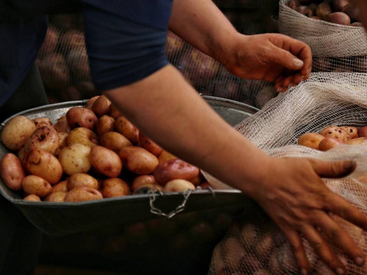 La Agencia de Desarrollo Rural lanza ambicioso plan para fortalecer el agro boyacense