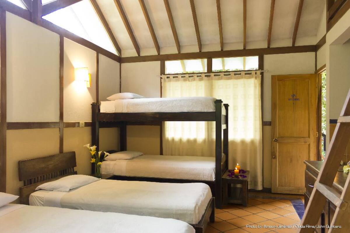En estas piscinas termales, ubicadas en Santa Rosa de Cabal, se sentirá el placer del calor y las sales naturales; más que entretenimiento proporciona salud y bienestar.