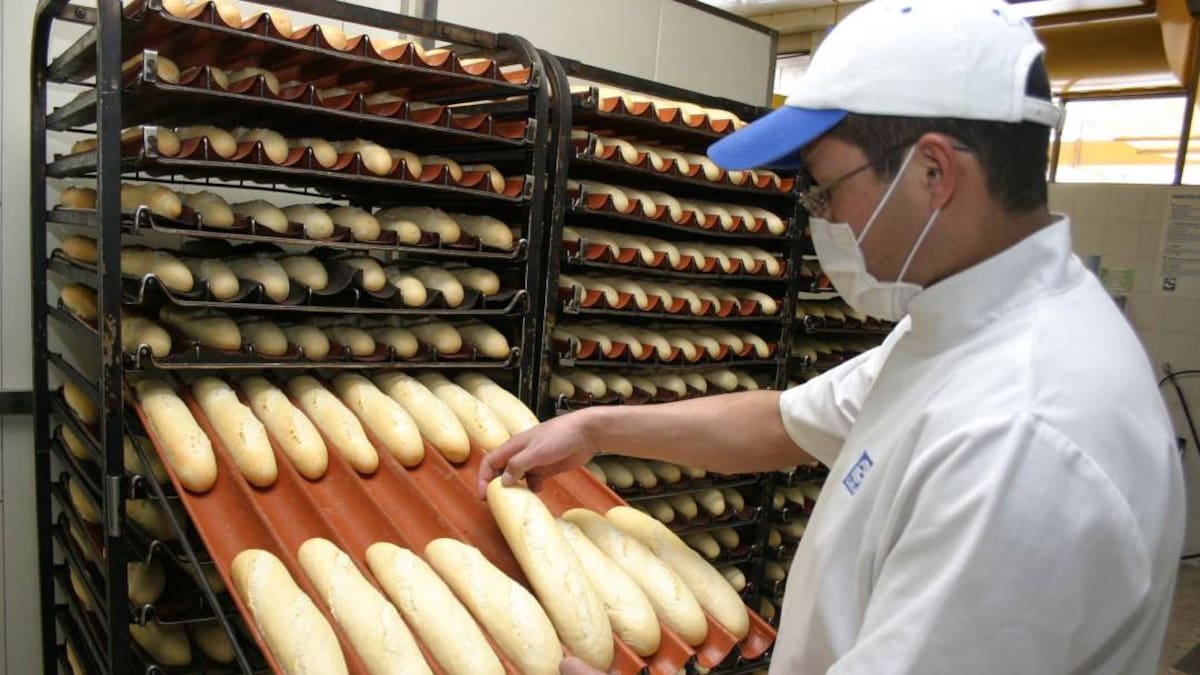 Ante masivas importaciones de trigo, el precio del pan sigue al alza