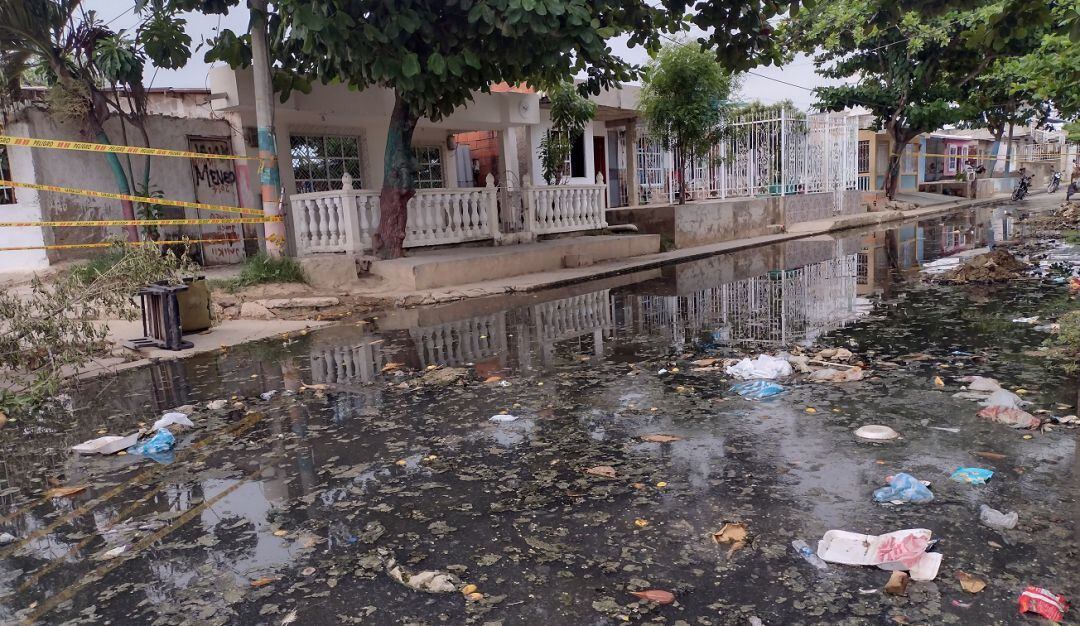 Durante la última semana la ciudad reportó 25 nuevos casos y cero muertes por esta patología