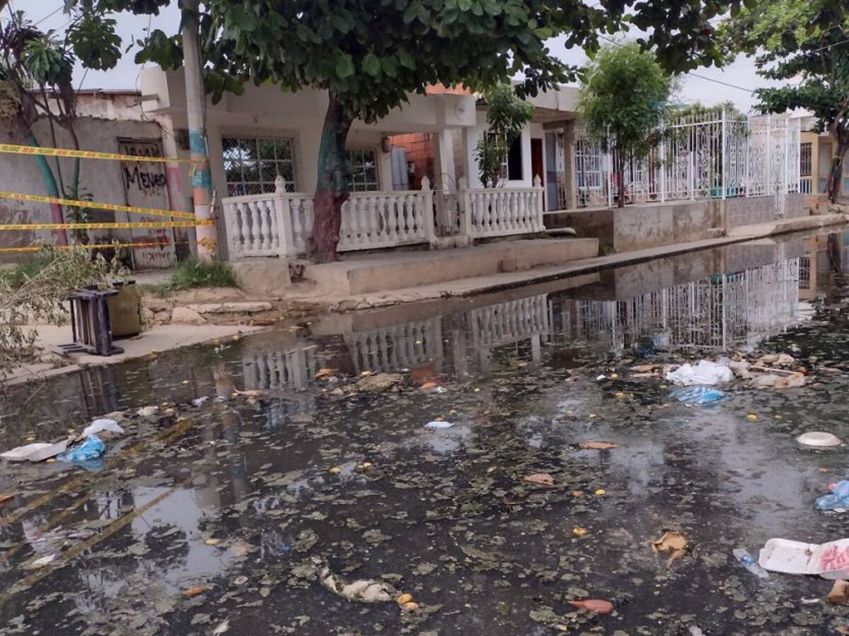 Cartagena registra cerca de 600 casos de dengue en 2022