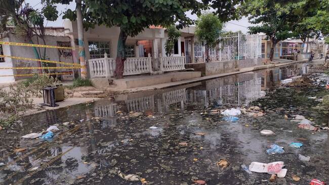 Durante la última semana la ciudad reportó 25 nuevos casos y cero muertes por esta patología