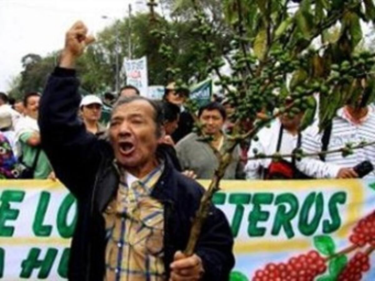 Cafeteros de 16 municipios de Quindío y el norte del Valle se concentran en Calarca