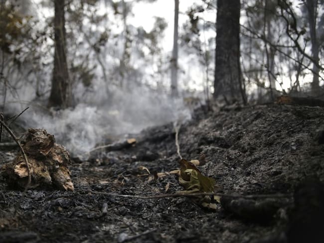 Muere campesina que quedó atrapada en incendio forestal en Magdalena