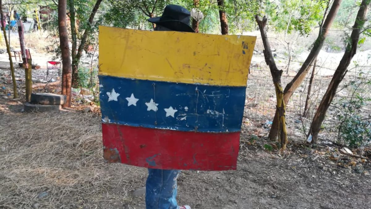 De forma artesanal buscan la forma defender la zona con el logo de Venezuela