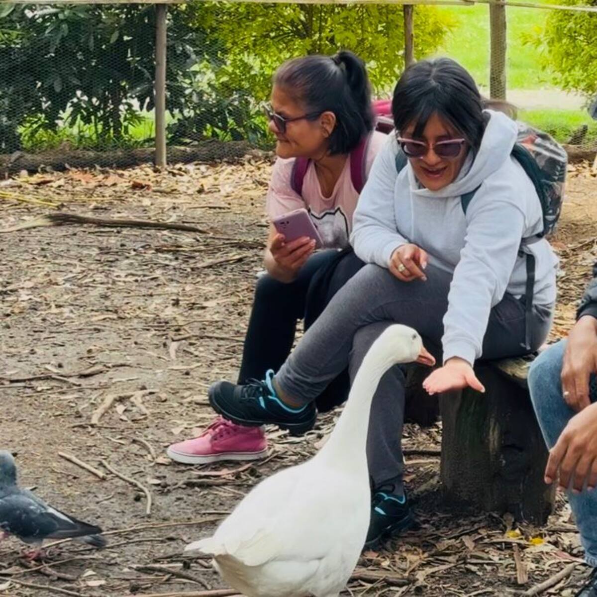 Senadora denuncia inminente desalojo de santuario animal en Bogotá: responden desde la Alcaldía