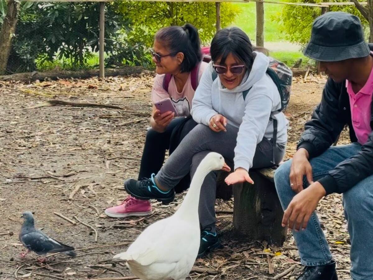 Senadora denuncia inminente desalojo de santuario animal en Bogotá: responden desde la Alcaldía