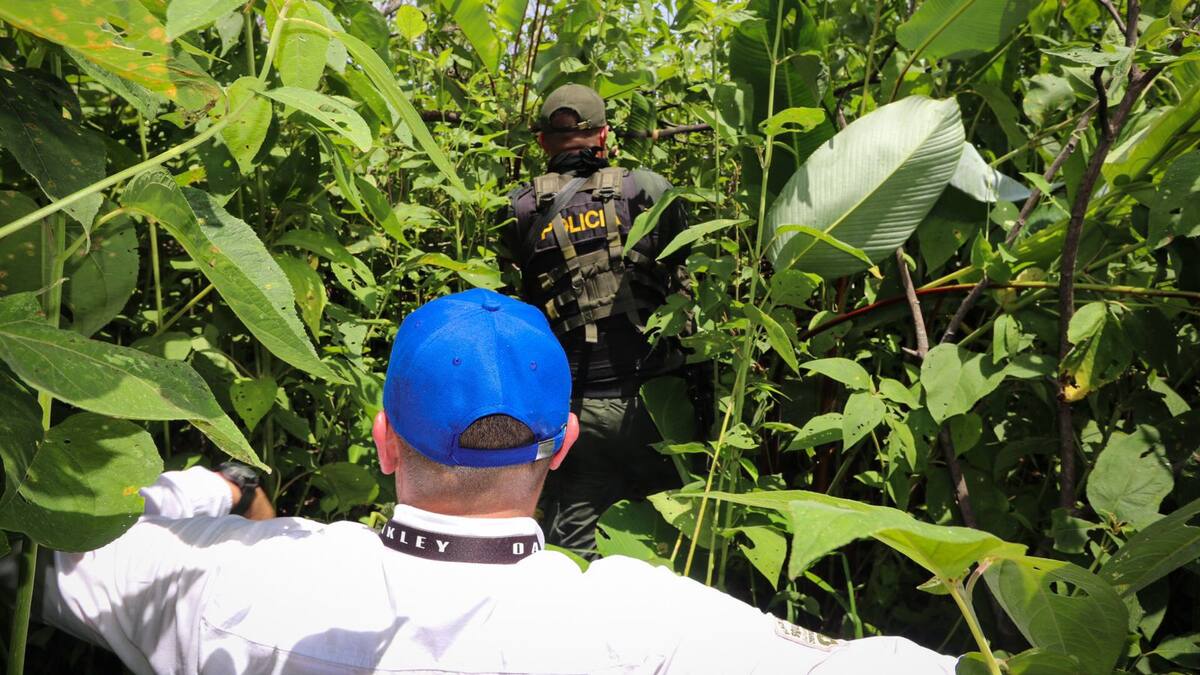 Más de 60 predios en Puerto Boyacá requieren formalización